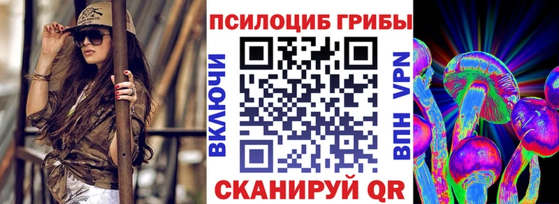 Галлюциногенные грибы мицелий  Купить закладки  Белгород 